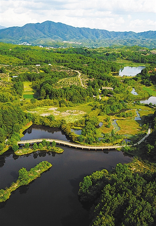 福建长汀推进水土流失治理成效显著――人与青山两不负.jpg